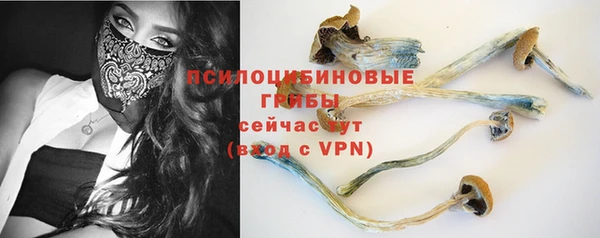 гашик Белоозёрский