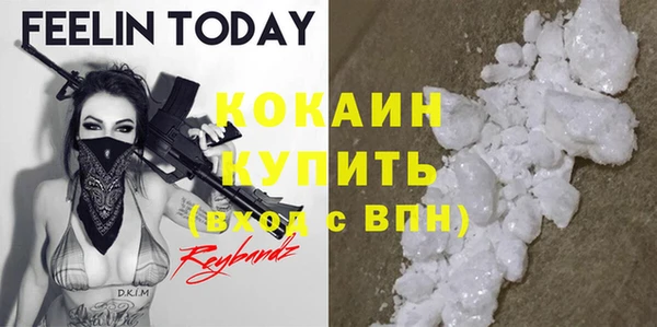гашик Белоозёрский