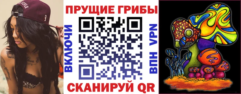 Псилоцибиновые грибы Psilocybine cubensis  Дальнегорск 